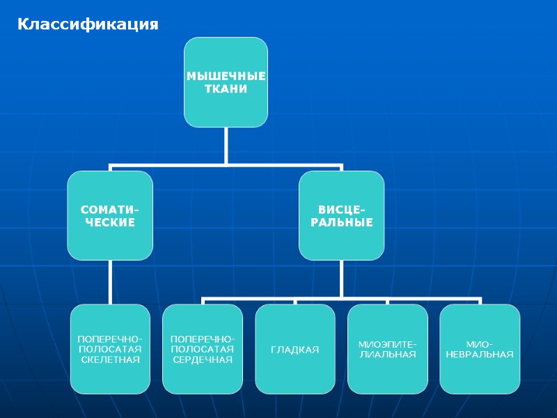 Классификация